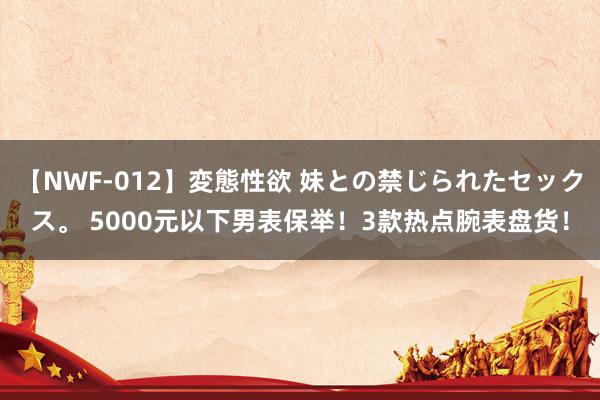 【NWF-012】変態性欲 妹との禁じられたセックス。 5000元以下男表保举！3款热点腕表盘货！