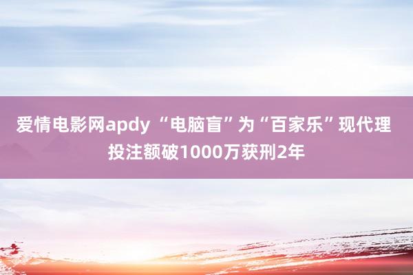 爱情电影网apdy “电脑盲”为“百家乐”现代理 投注额破1000万获刑2年