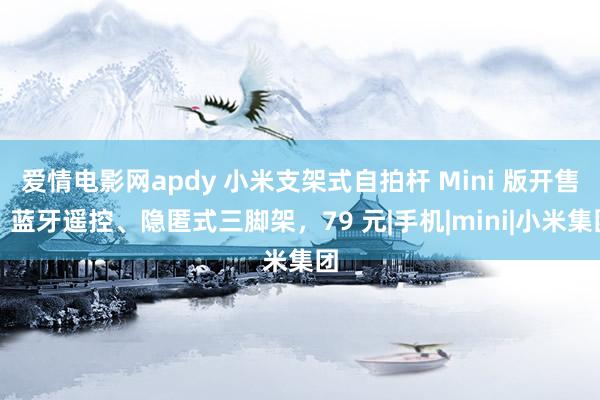 爱情电影网apdy 小米支架式自拍杆 Mini 版开售：蓝牙遥控、隐匿式三脚架，79 元|手机|mini|小米集团